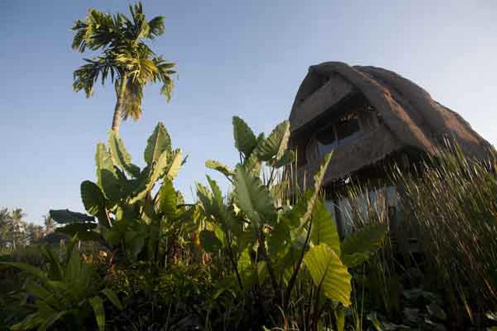 Ubud Hidden Villa Yone Village Exterior foto