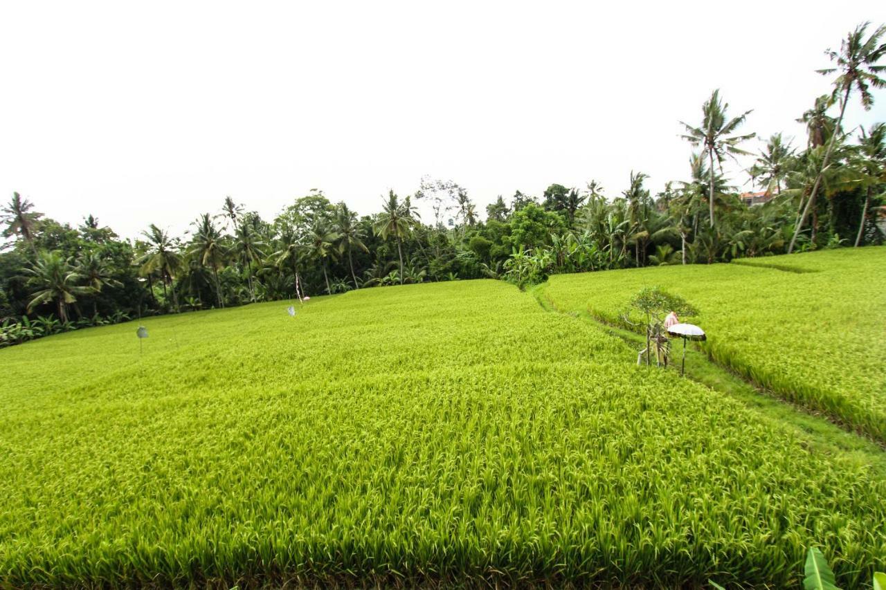 Ubud Hidden Villa Yone Village Exterior foto